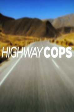 Highway Cops S04E02 480p x264-mSD