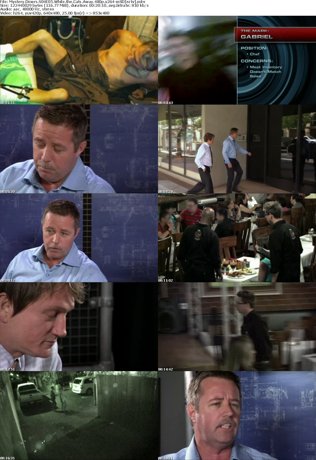 Mystery Diners S04E05 While the Cats Away 480p x264-mSD