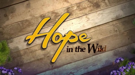 Hope in the Wild S02E24 Raccoon Adoption Agency 720p WEB x264-LiGATE