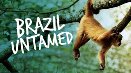 Brazil Untamed S01E01 Monkey Garden 720p WEB h264-CAFFEiNE