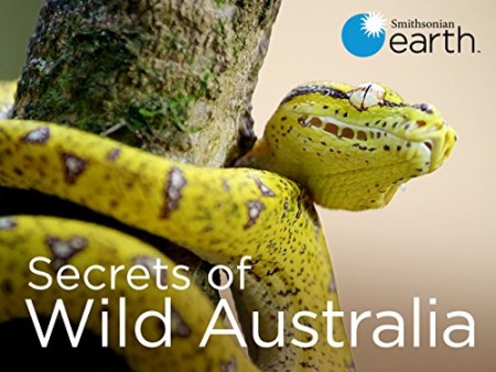 Secrets of Wild Australia S01E01 Snakes 480p x264-mSD