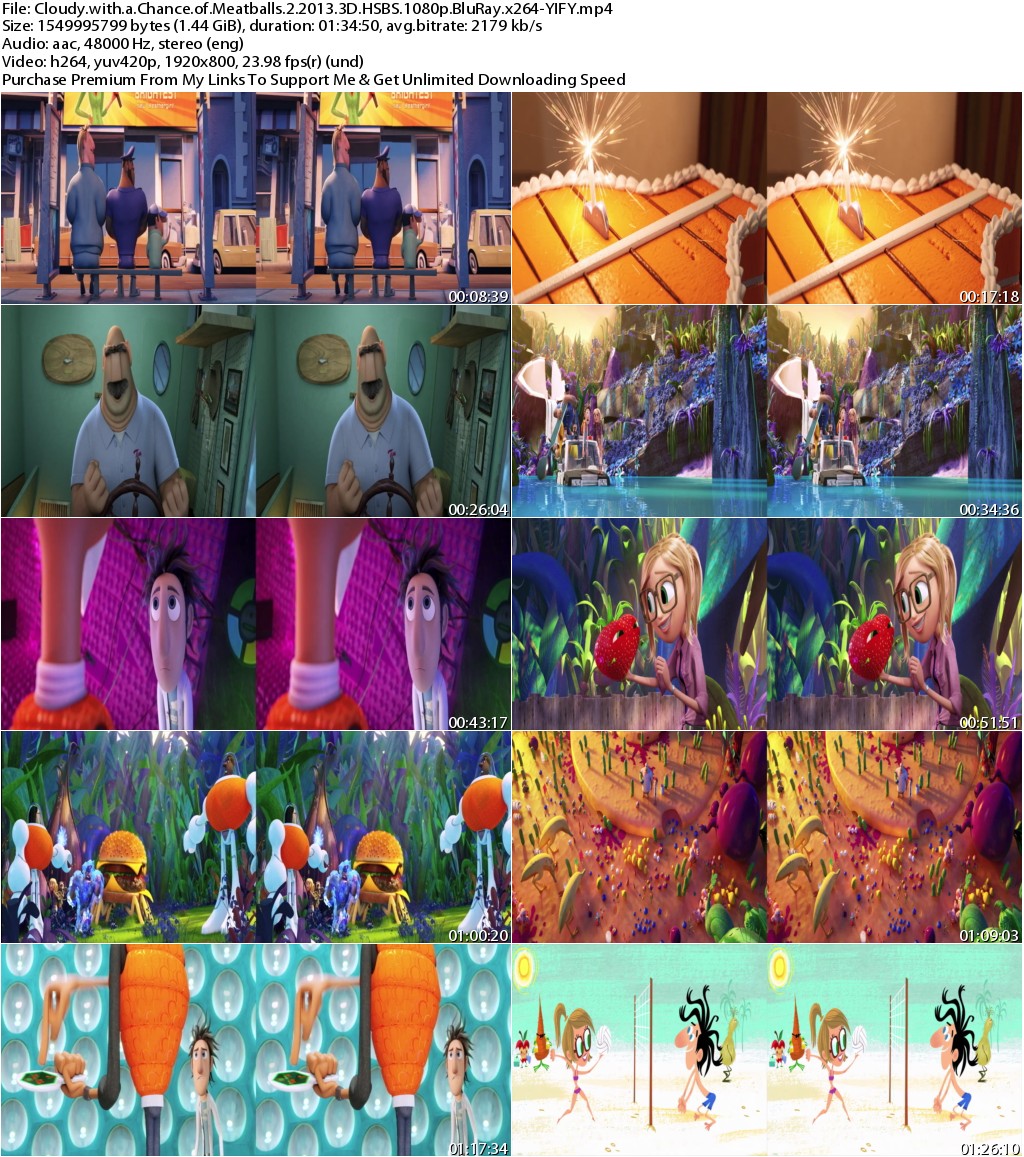 Cloudy with a Chance of Meatballs 2 (2013) 3D HSBS 1080p BluRay x264-YIFY