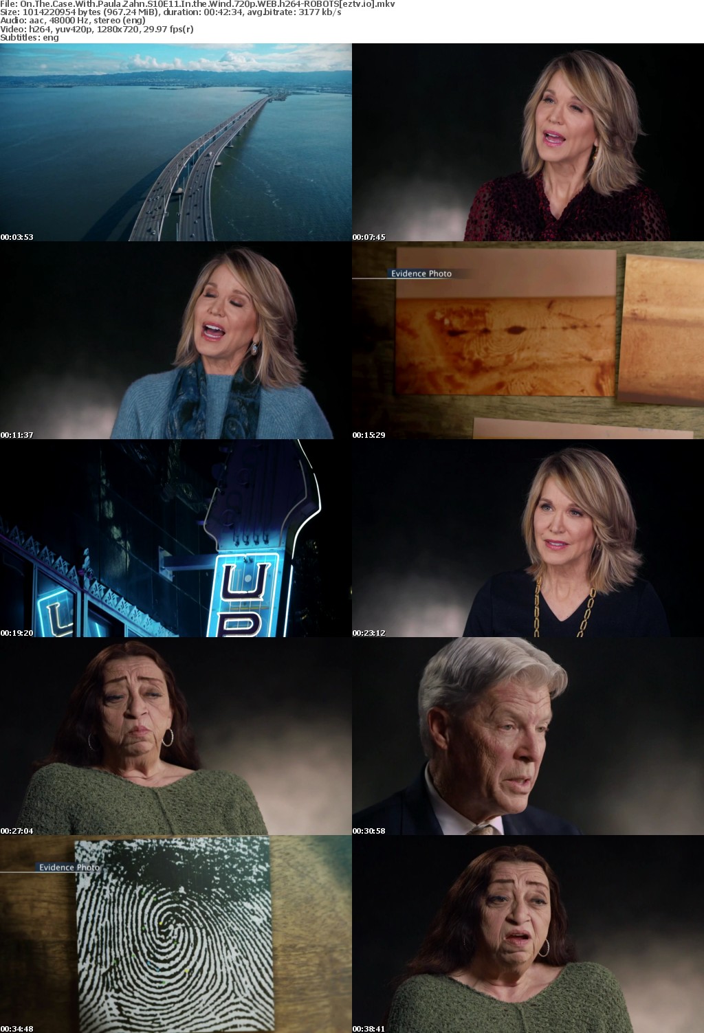 On The Case With Paula Zahn S10E11 In the Wind 720p WEB h264-ROBOTS