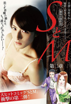 Japanese erotic softcore movie