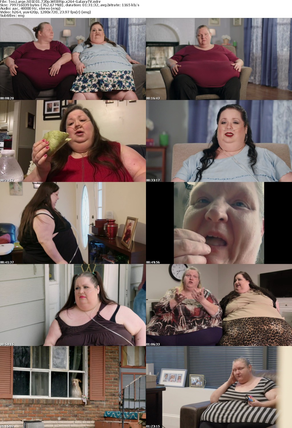 Too Large S01 COMPLETE 720p WEBRip x264-GalaxyTV