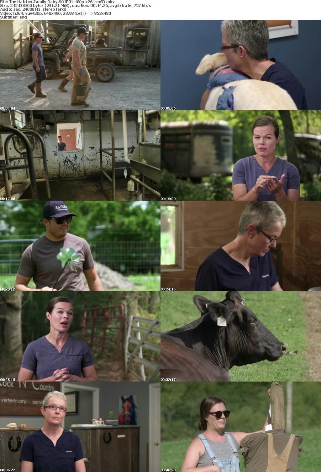 The Hatcher Family Dairy S01E01 480p x264-mSD