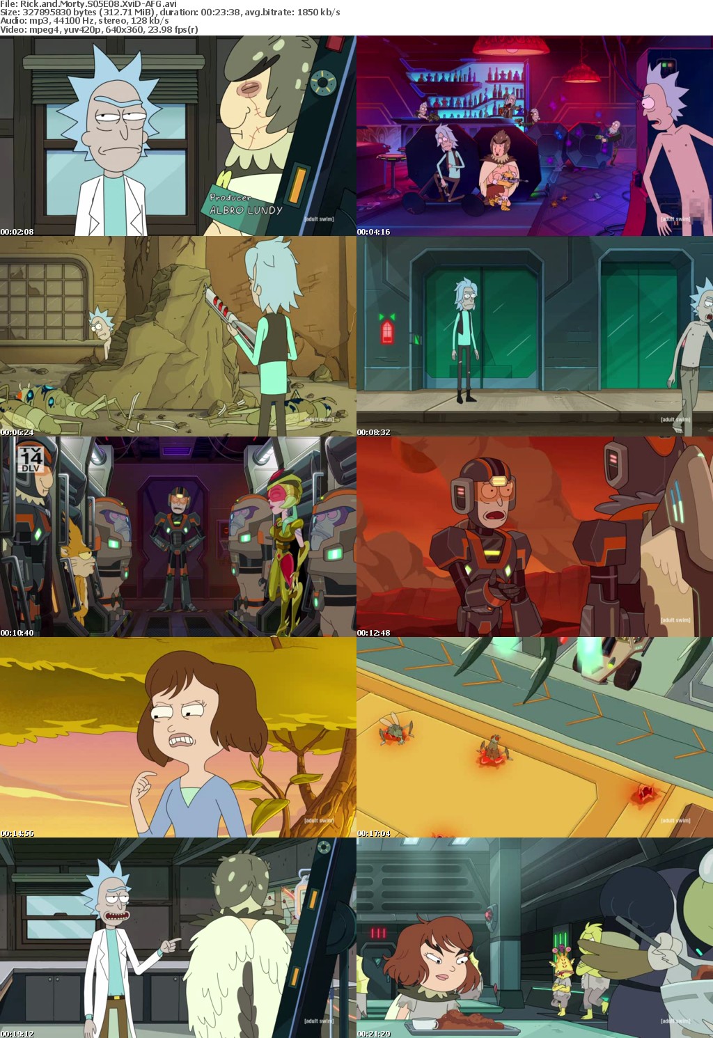 Rick and Morty S05E08 XviD-AFG