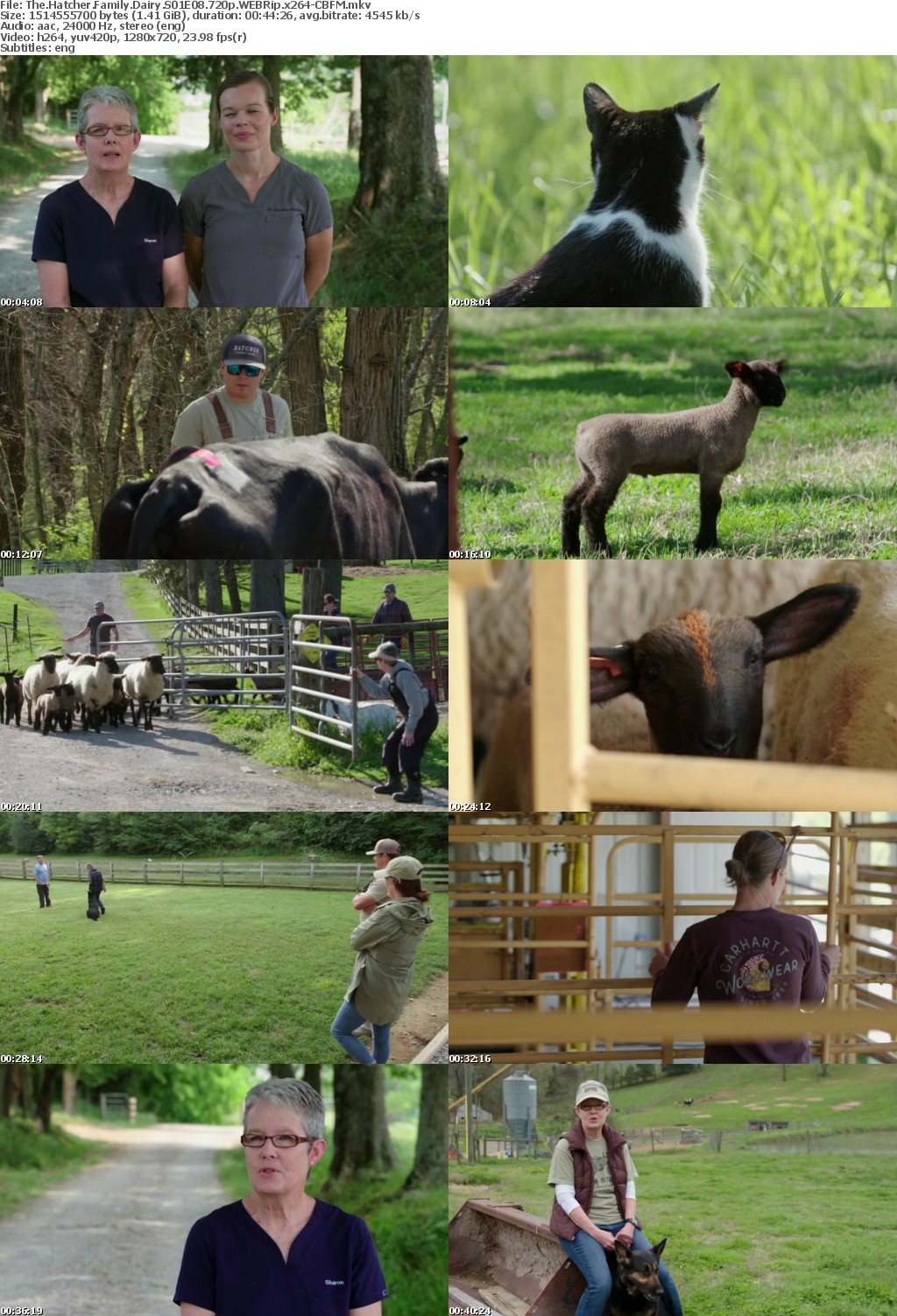 The Hatcher Family Dairy S01E08 720p WEBRip x264-CBFM
