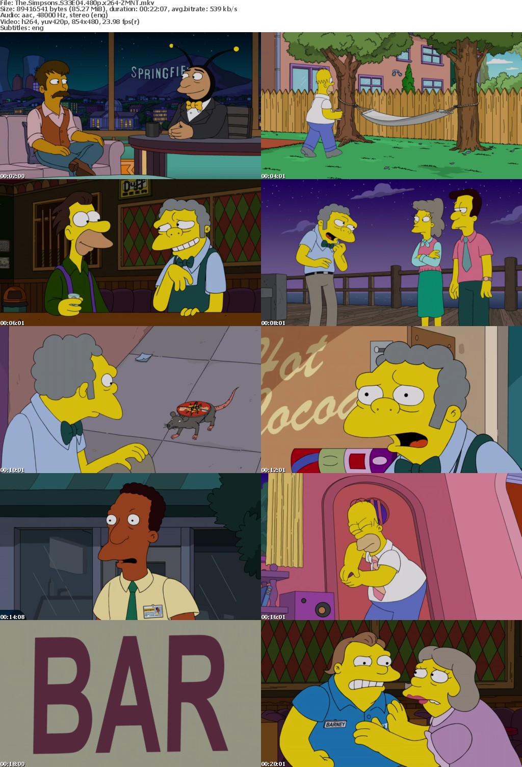 The Simpsons S33E04 480p x264-ZMNT