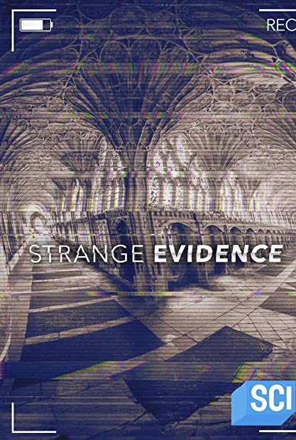 Strange Evidence S06E07 WEB x264-GALAXY
