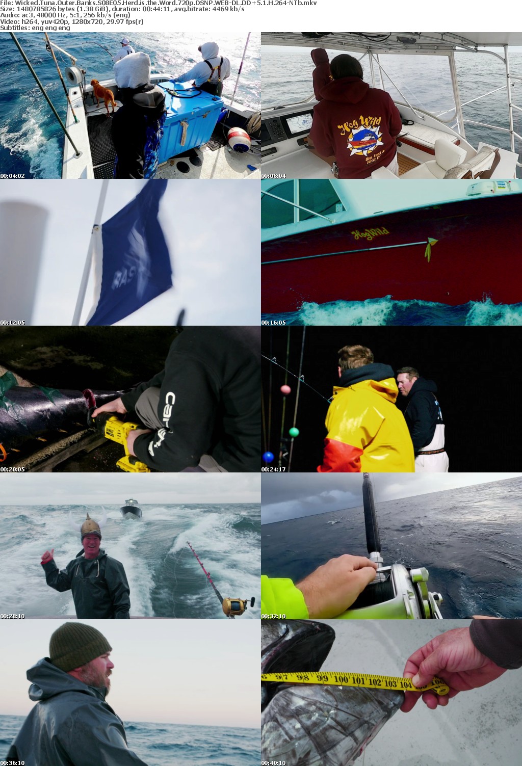 Wicked Tuna Outer Banks S08E05 Herd is the Word 720p DSNP WEBRip DDP5 1 x264-NTb