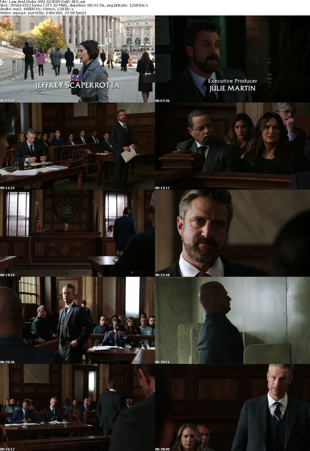 Law And Order SVU S23E09 XviD-AFG