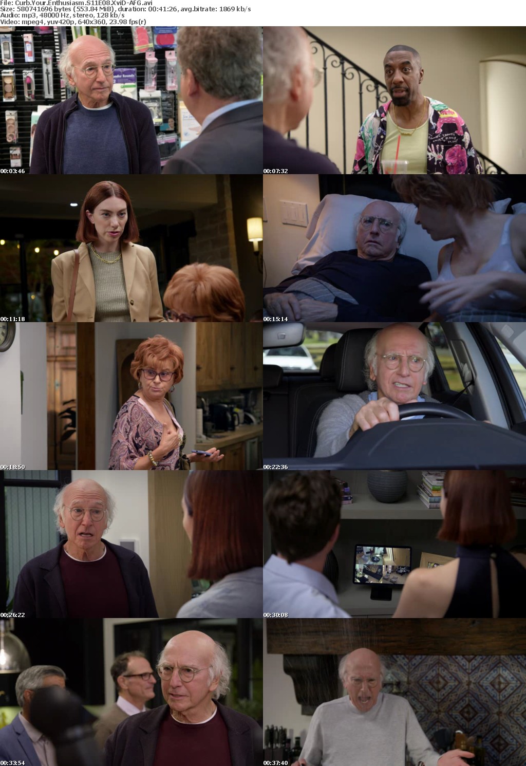 Curb Your Enthusiasm S11E08 XviD-AFG