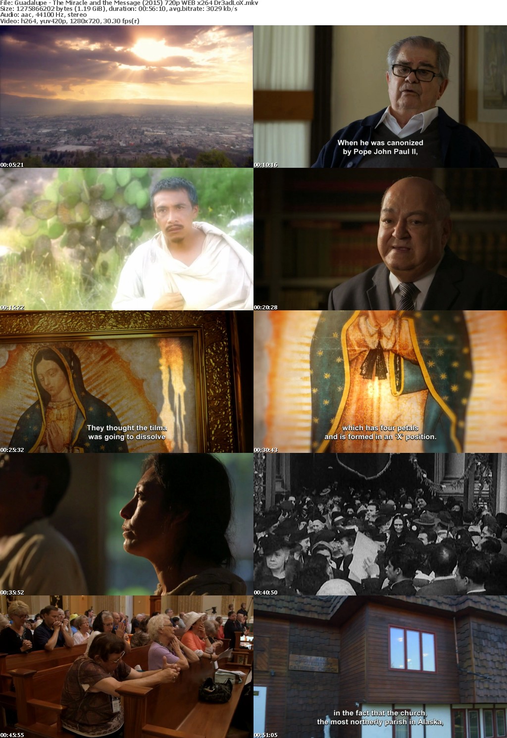 Guadalupe - The Miracle and the Message (2015) 720p WEB x264 Dr3adLoX