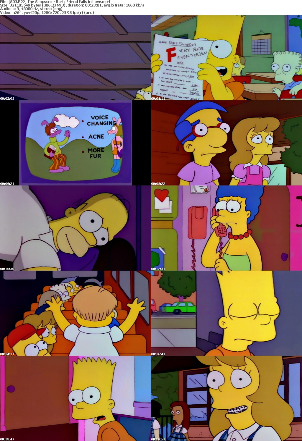 The Simpsons S3 E22 Bart's Friend Falls in Love MP4 720p H264 WEBRip EzzRips
