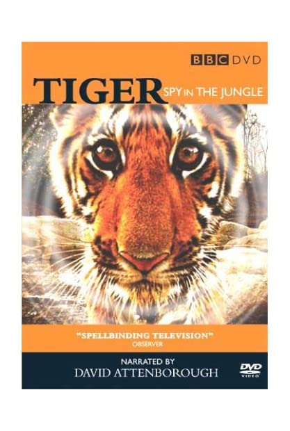 Tiger Spy In The Jungle S01 COMPLETE 720p AMZN WEBRip x264-GalaxyTV
