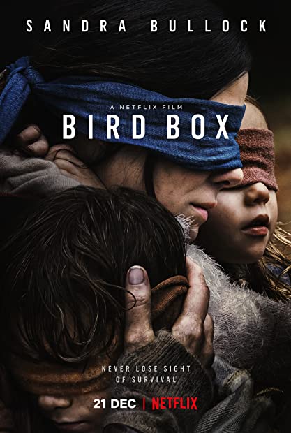 Bird Box 2018 720p WEBRip 999MB HQ x265 10bit-GalaxyRG