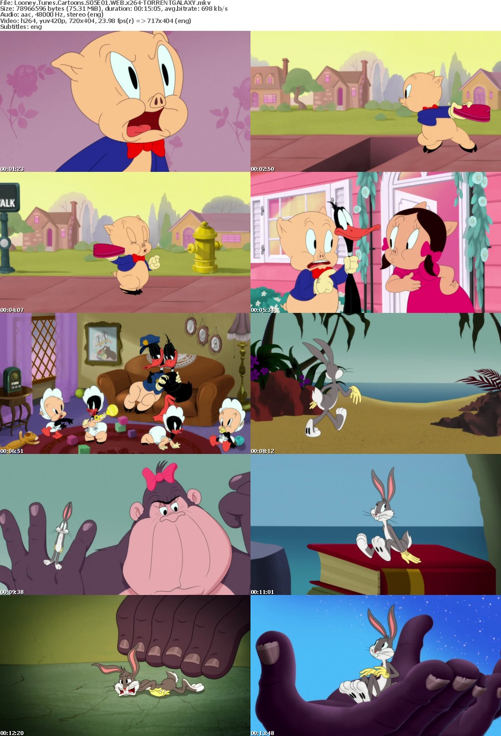 Looney Tunes Cartoons S05E01 WEB x264-GALAXY