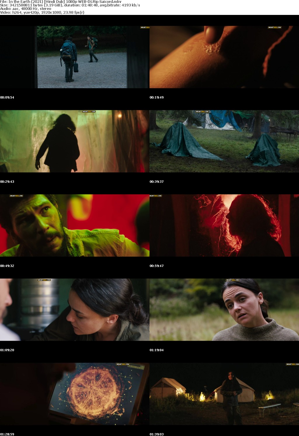In the Earth (2021) Hindi Dub 1080p WEB-DLRip Saicord