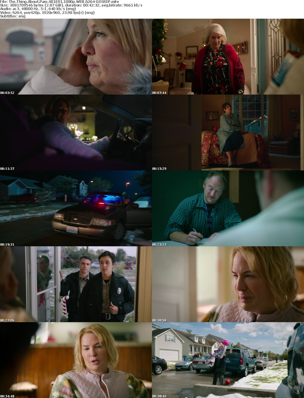 The Thing About Pam S01E01 1080p WEB h264-GOSSIP