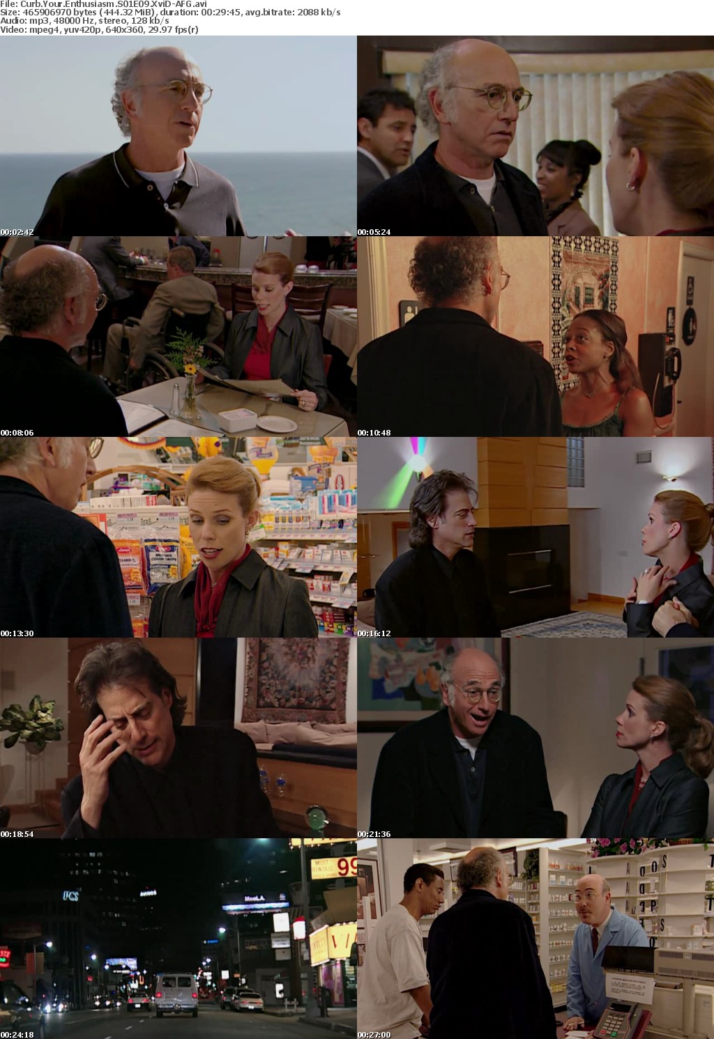 Curb Your Enthusiasm S01E09 XviD-AFG