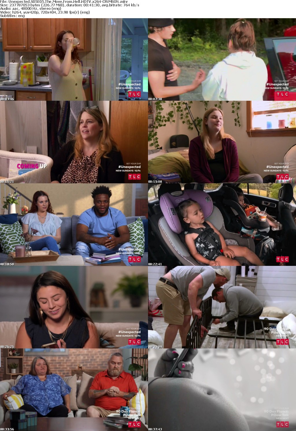Unexpected S05E05 The Move From Hell HDTV x264-CRiMSON