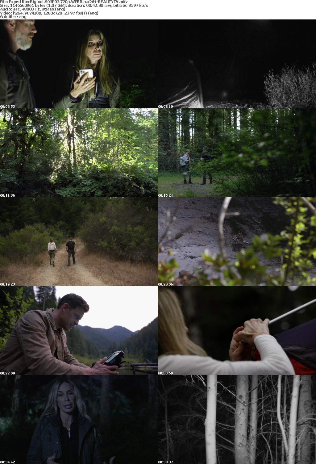 Expedition Bigfoot S03E03 720p WEBRip x264-REALiTYTV