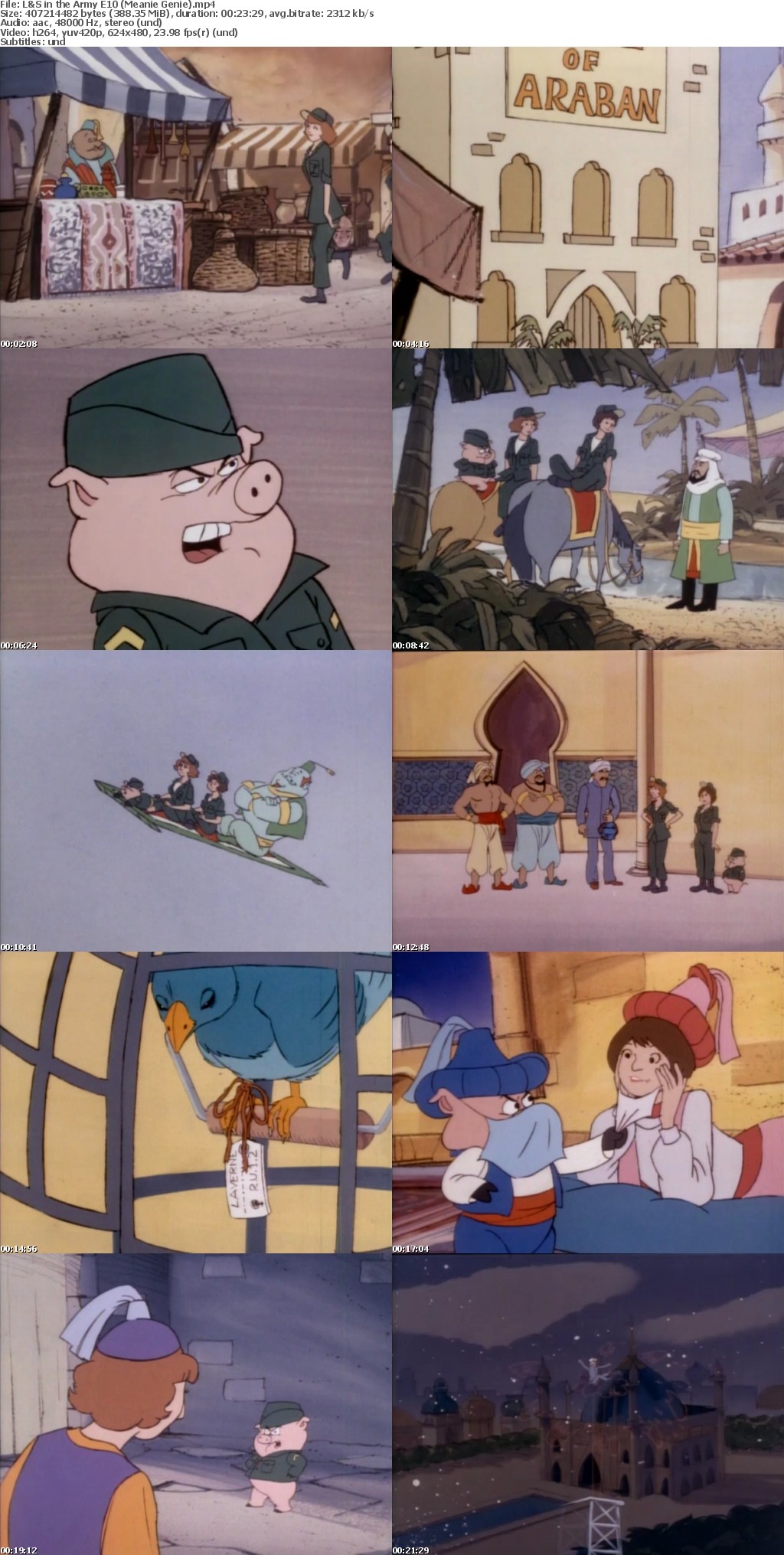 Laverne and Shirley in the Army (Cartoon series in MP4 format)