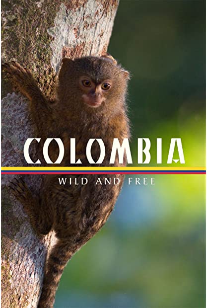 Colombia Wild and Free S01E02 720p WEBRip x264-BAE