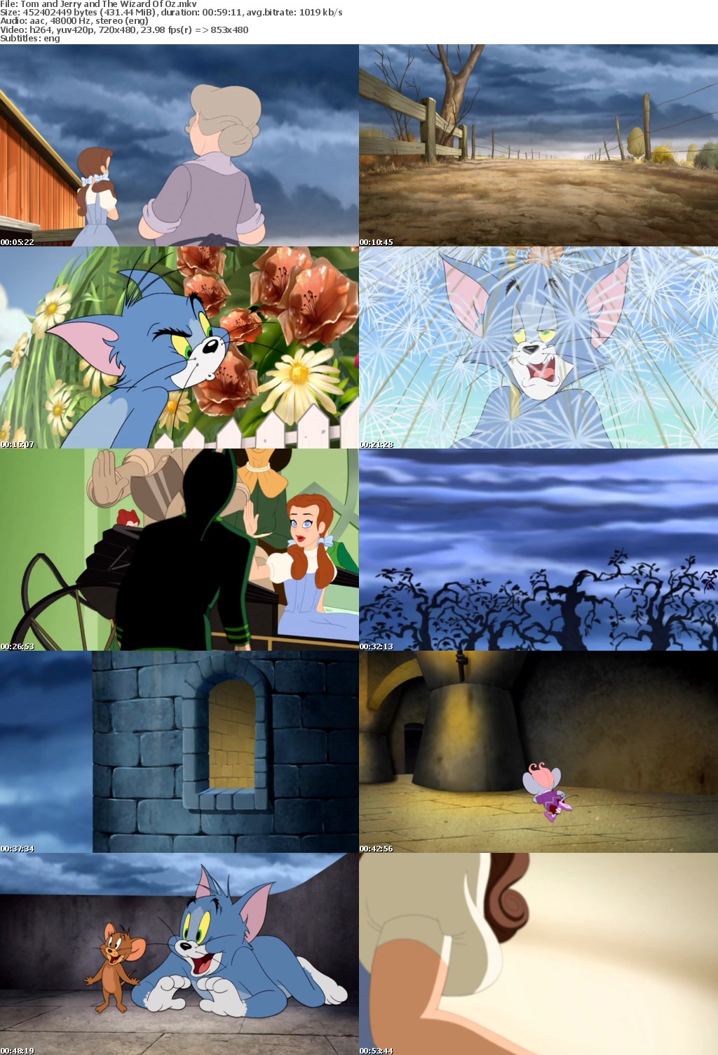 Tom and Jerry amp; The Wizard of Oz (2011) 480p x264 schuylang