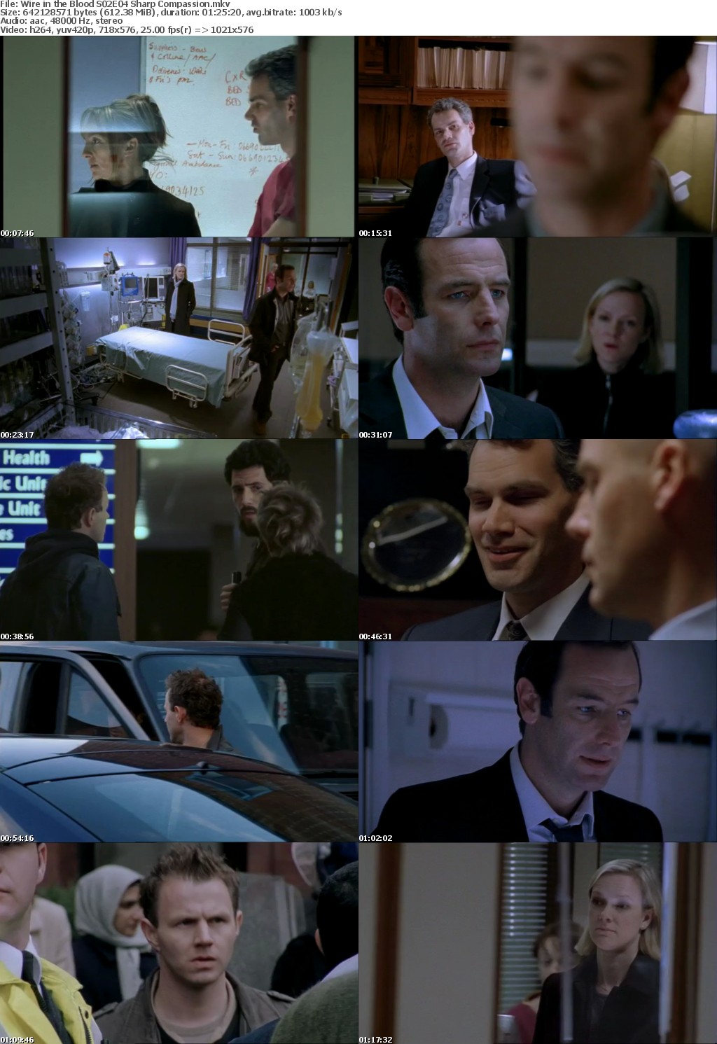 Wire in the Blood 2002 Season 2 Complete x264 i c