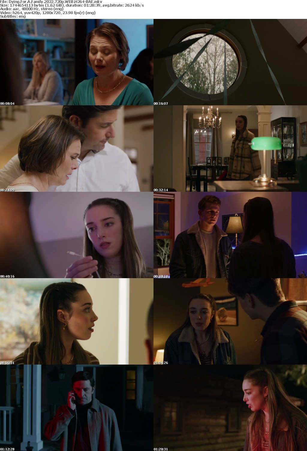 Dying For A Family 2022 720p WEB H264-BAE