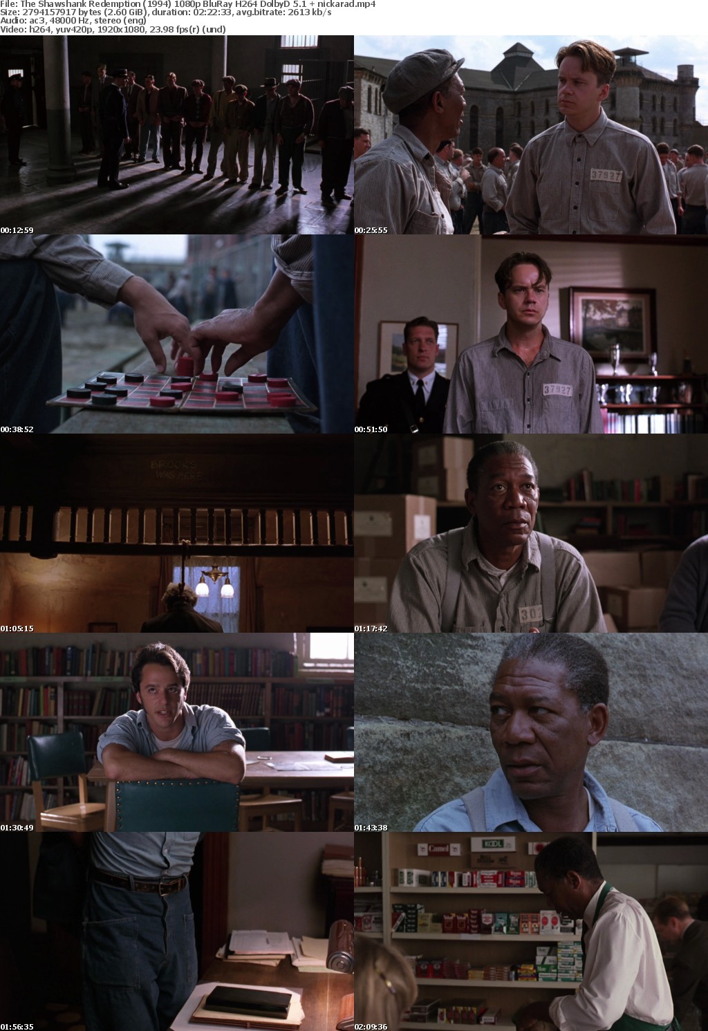The Shawshank Redemption (1994) 1080p BluRay H264 DolbyD 5 1 nickarad