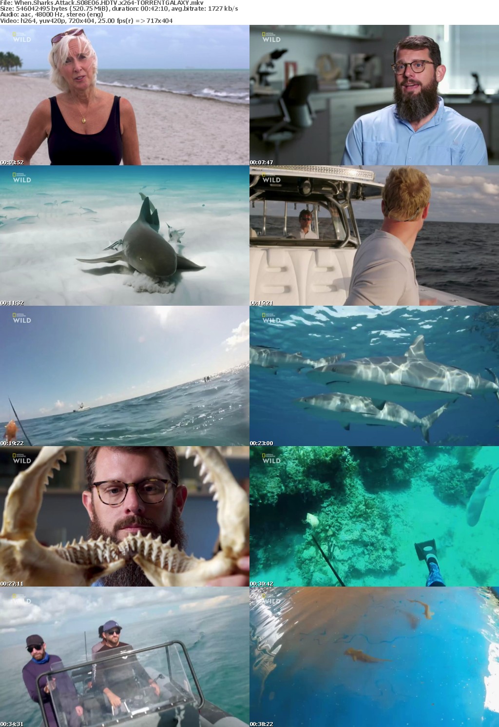 When Sharks Attack S08E06 HDTV x264-GALAXY