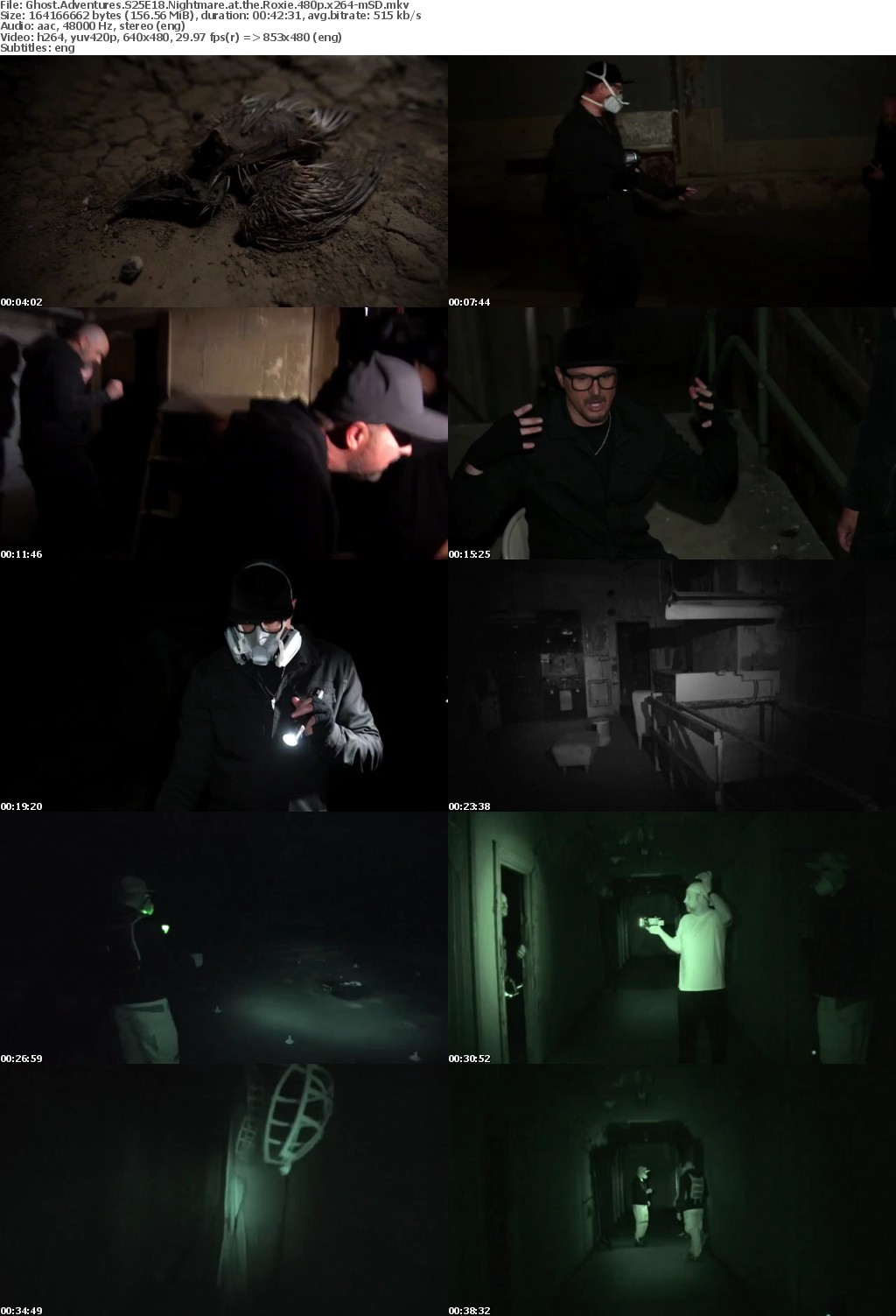 Ghost Adventures S25E18 Nightmare at the Roxie 480p x264-mSD