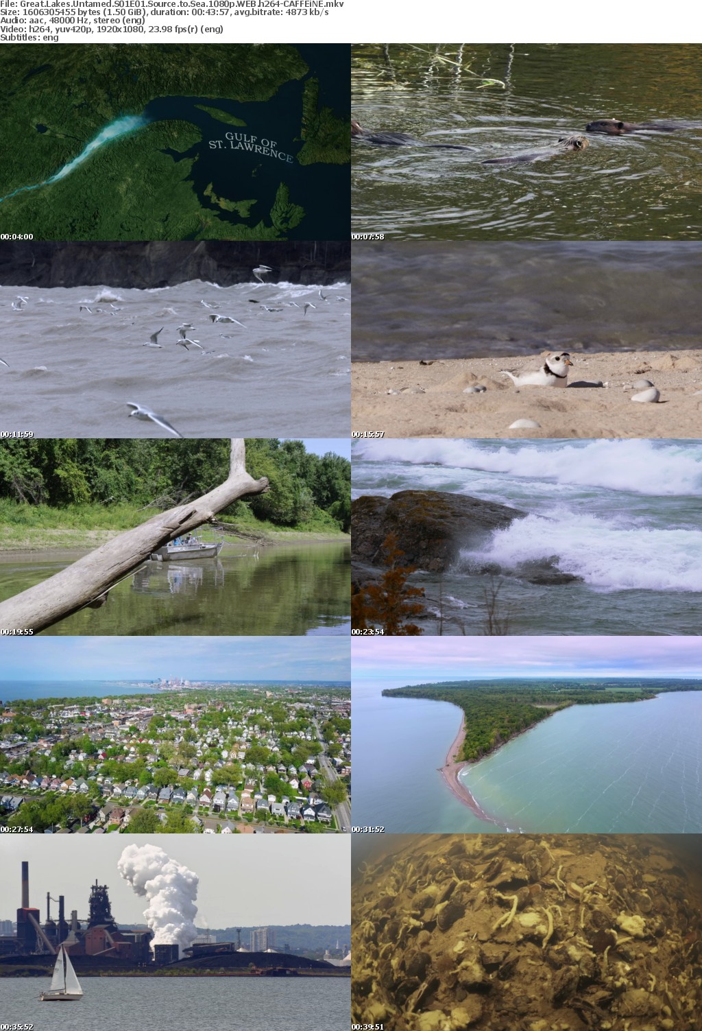 Great Lakes Untamed S01 1080p WEBRip AAC2 0 x264-CAFFEiNE