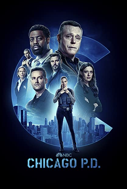 Chicago PD S10E08 XviD-AFG