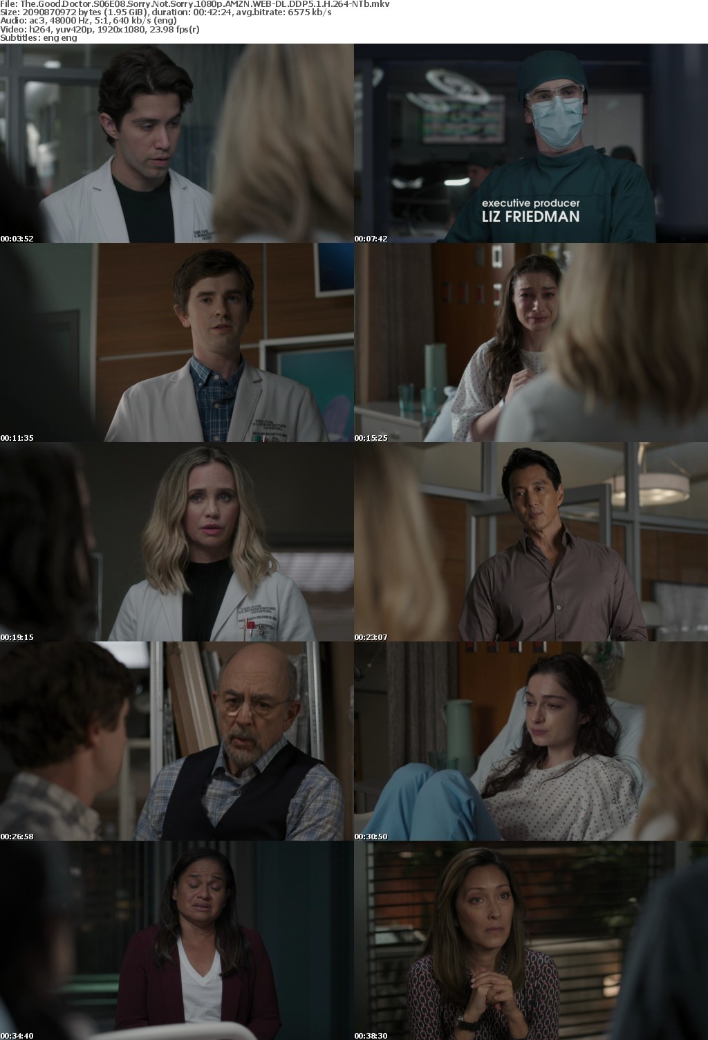 The Good Doctor S06E08 Sorry Not Sorry 1080p AMZN WEBRip DDP5 1 x264-NTb