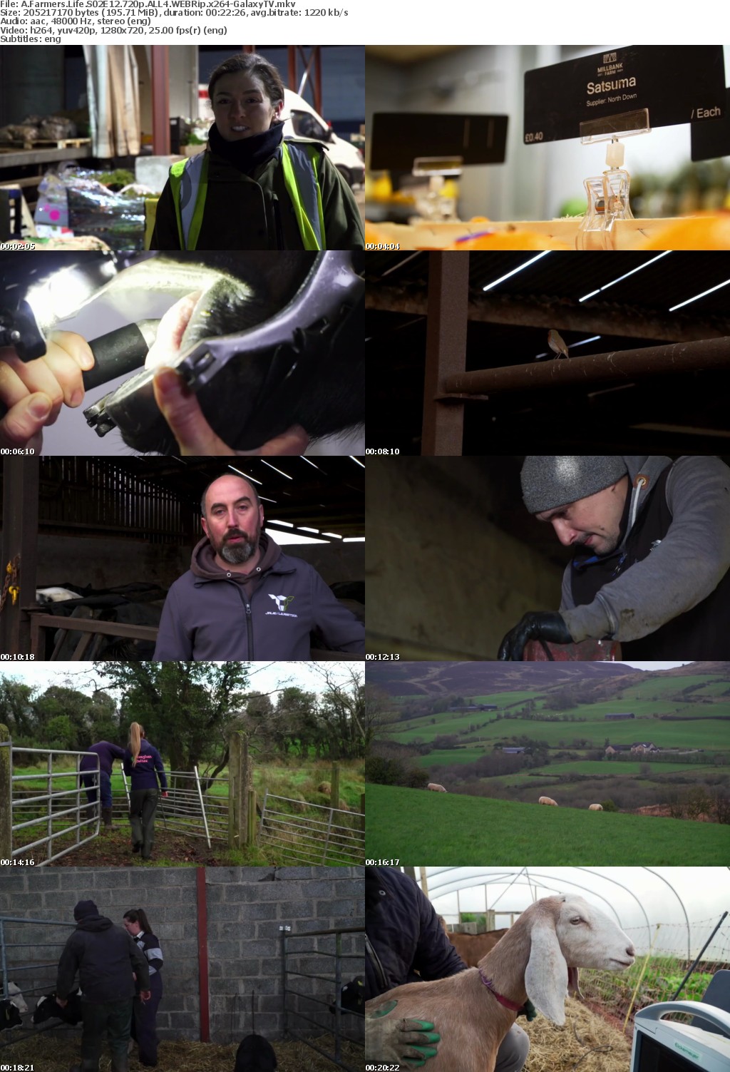 A Farmers Life S02 COMPLETE 720p ALL4 WEBRip x264-GalaxyTV