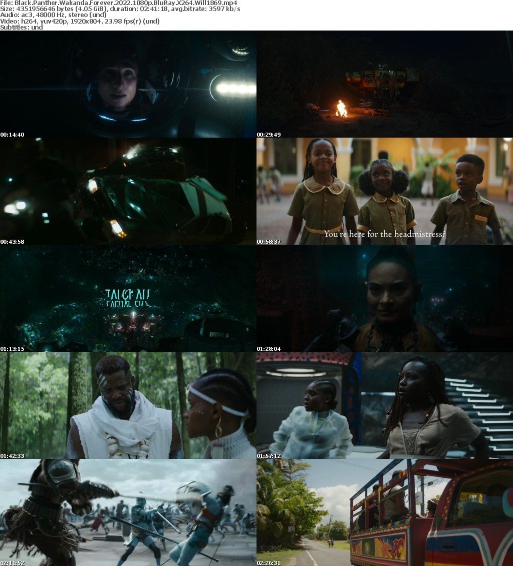 Black Panther Wakanda Forever 2022 1080p BluRay X264 Will1869