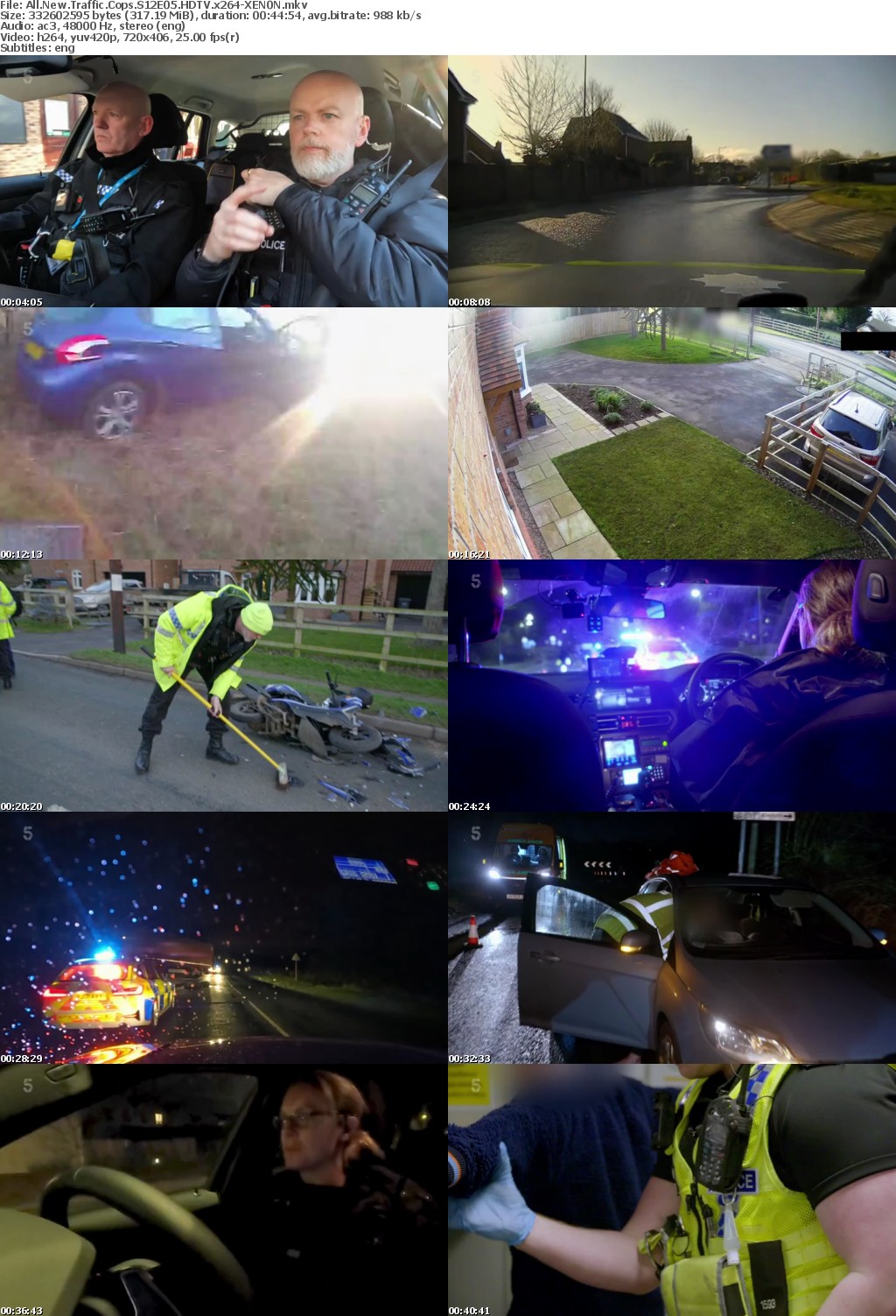 All New Traffic Cops S12E05 HDTV x264-XEN0N