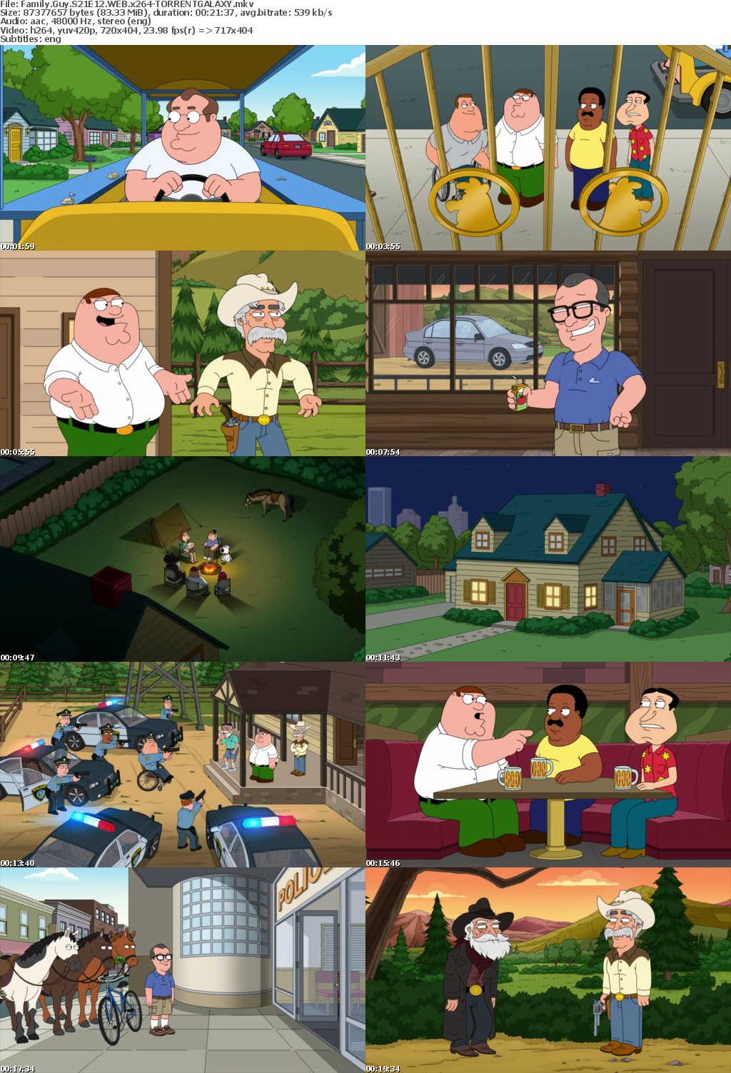 Family Guy S21E12 WEB x264-GALAXY