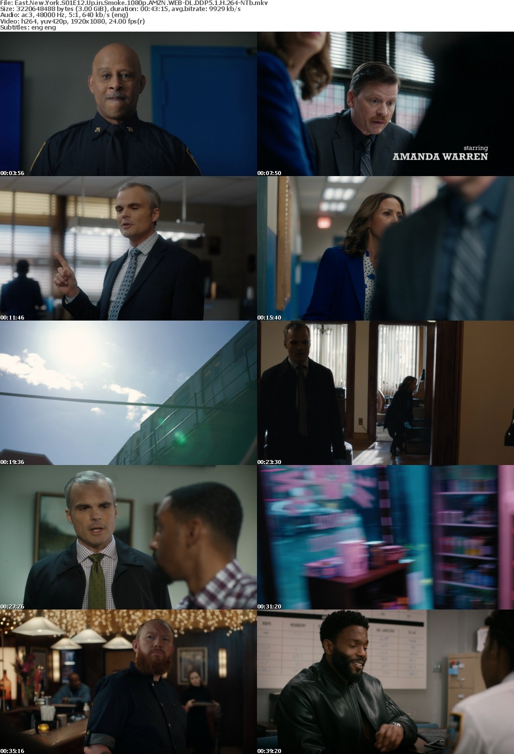 East New York S01E12 Up in Smoke 1080p AMZN WEBRip DDP5 1 x264-NTb