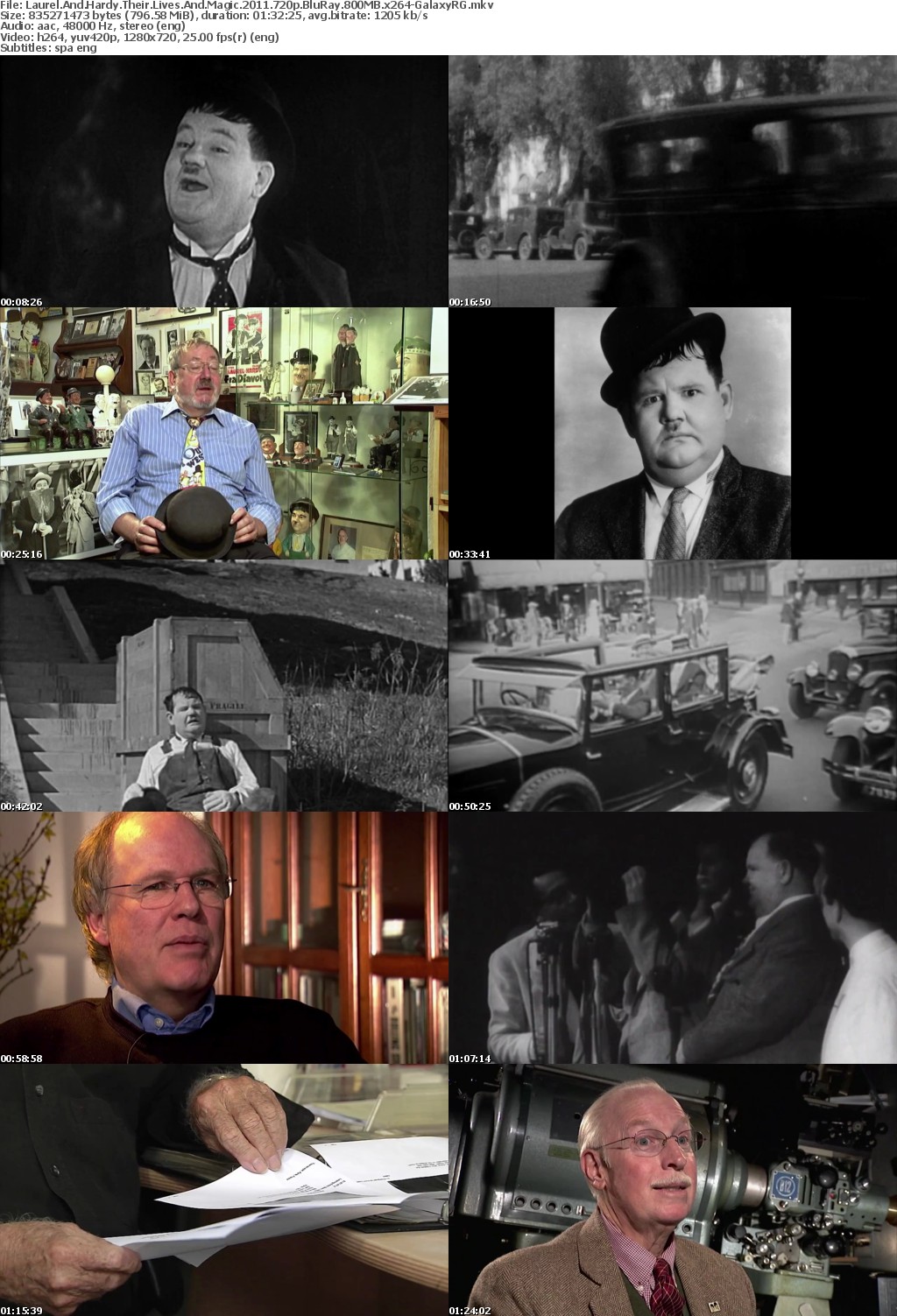 Laurel And Hardy Their Lives And Magic 2011 720p BluRay 800MB x264-GalaxyRG