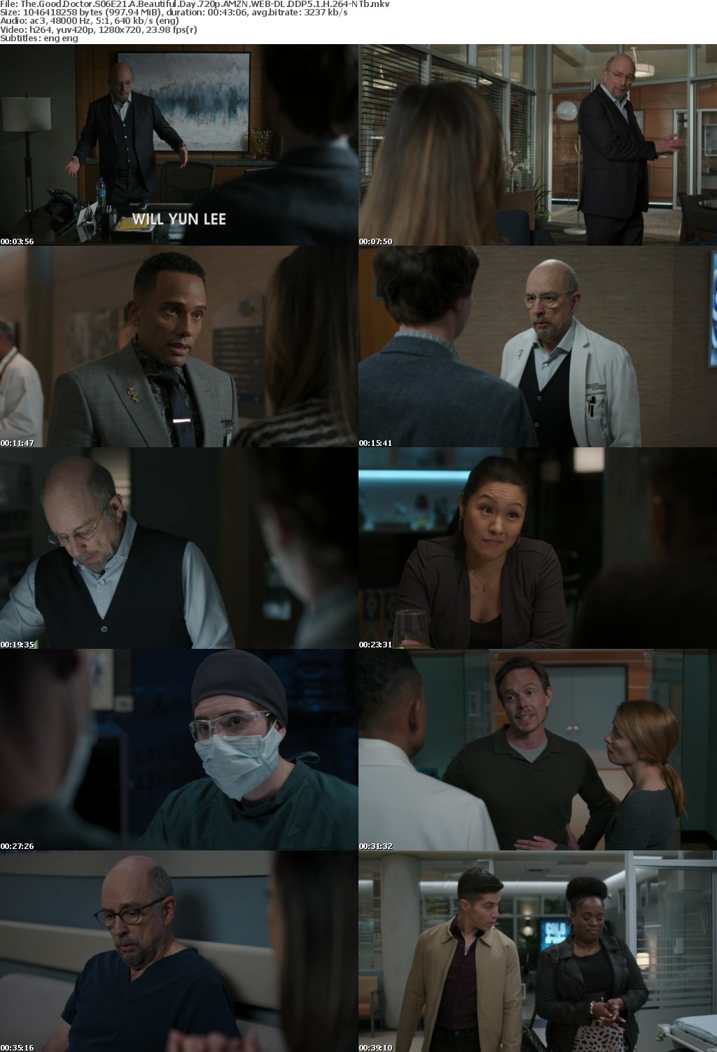 The Good Doctor S06E21 A Beautiful Day 720p AMZN WEBRip DDP5 1 x264-NTb