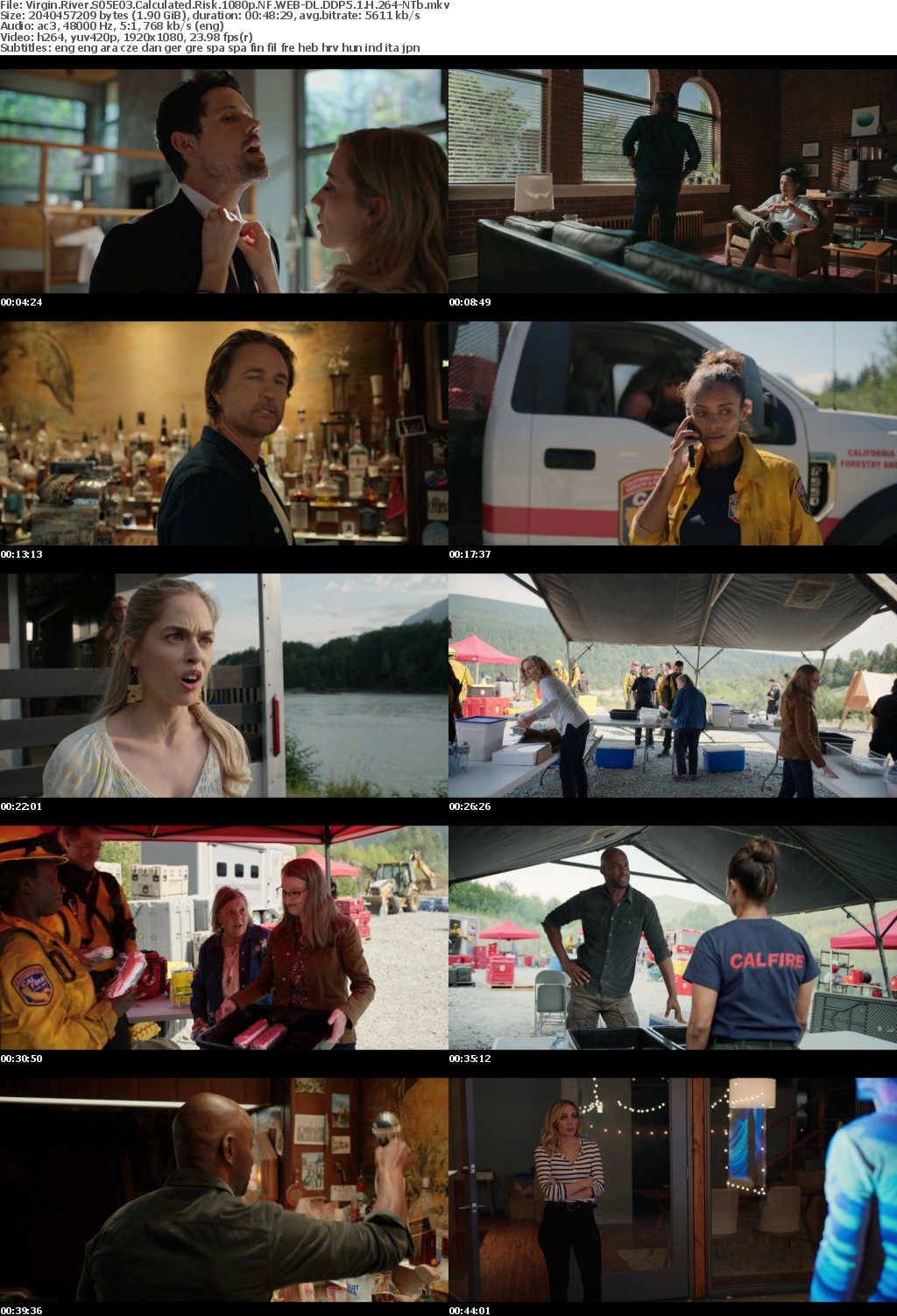 Virgin River S05E03 Calculated Risk 1080p NF WEB-DL DDP5 1 H 264-NTb