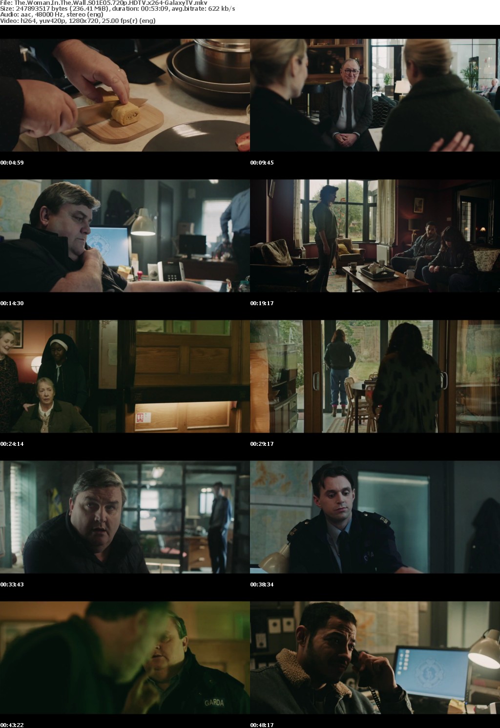 The Woman In The Wall S01 COMPLETE 720p HDTV x264-GalaxyTV