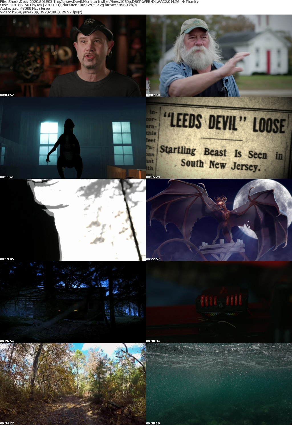 Shock Docs 2020 S01E03 The Jersey Devil Monster in the Pines 1080p DSCP WEB-DL AAC2 0 H 264-NTb