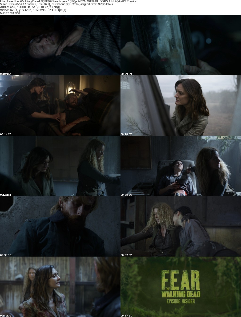Fear the Walking Dead S08E09 Sanctuary 1080p AMZN WEB-DL DDP5 1 H 264-ACEM