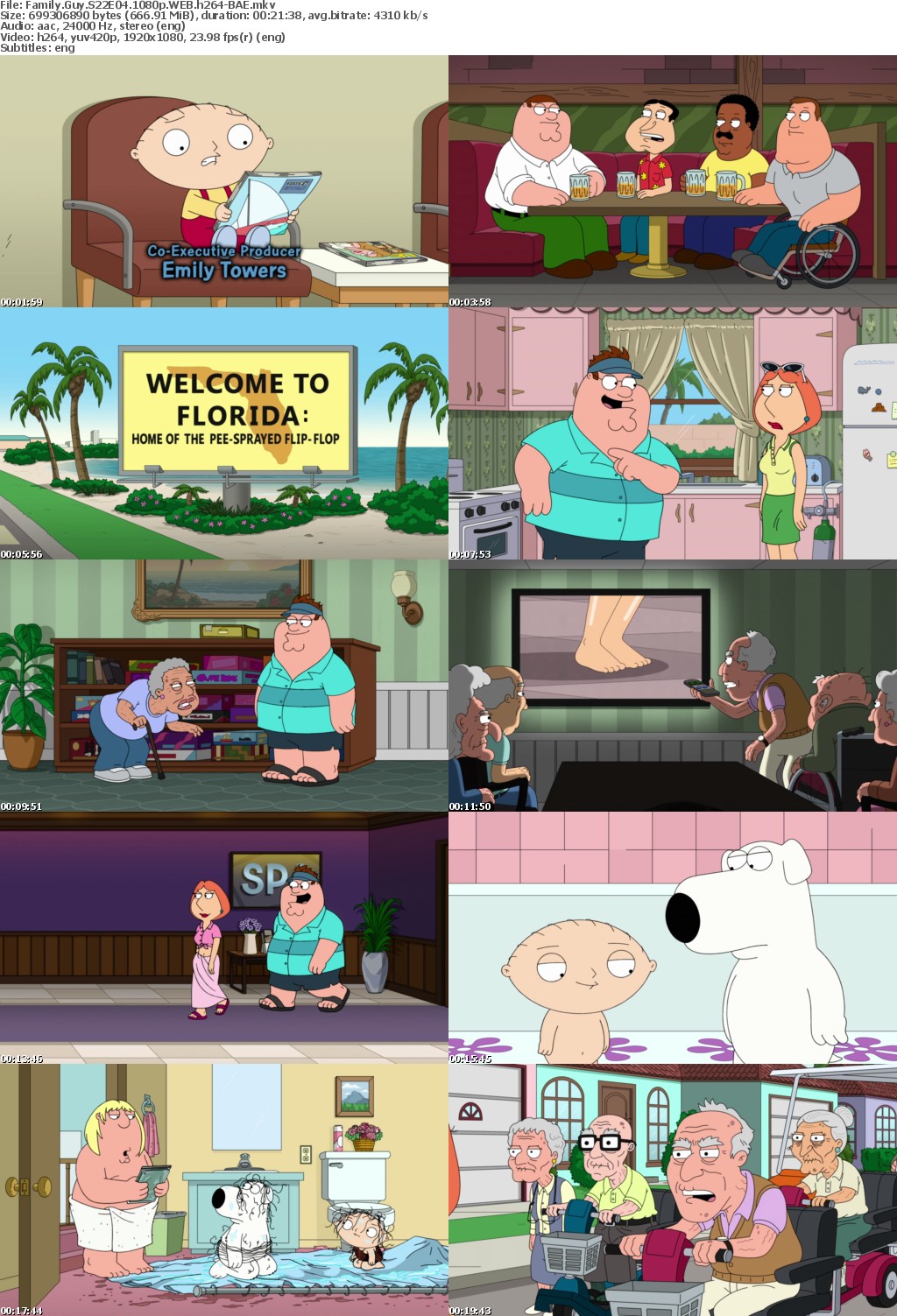 Family Guy S22E04 1080p WEB h264-BAE